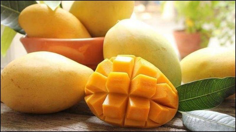 Xoài chứa ít calo nhưng lại giàu chất dinh dưỡng, đặc biệt là vitamin C