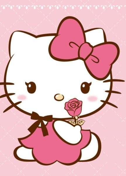 hình ảnh hello kitty đang ăn và bó hoa hồng