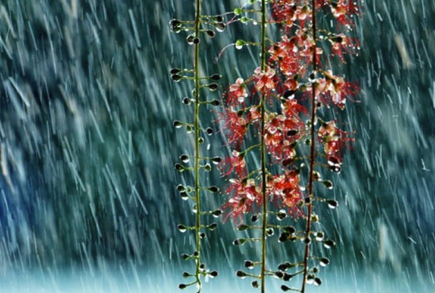 Thời tiết hôm nay (9-10): Nhiều nơi có mưa dông - Đài Phát thanh và Truyền hình Ninh Bình