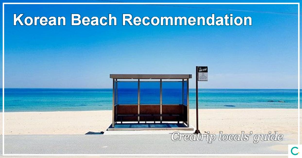 Korean Beach Recommendation | Introduction To Best Beaches You Must Visit in Korea!