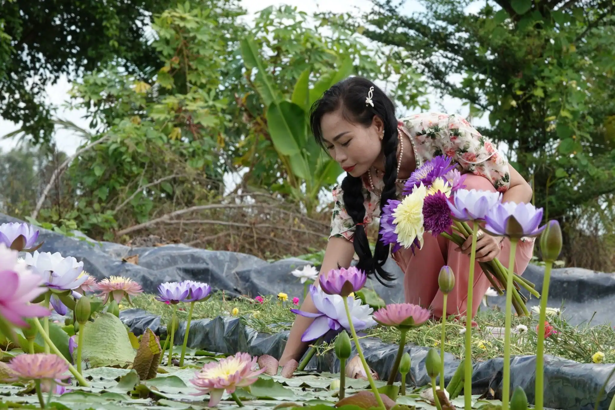 KINH TẾ 				 > Nông nghiệp - Nông thôn