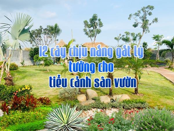 Tin Tức