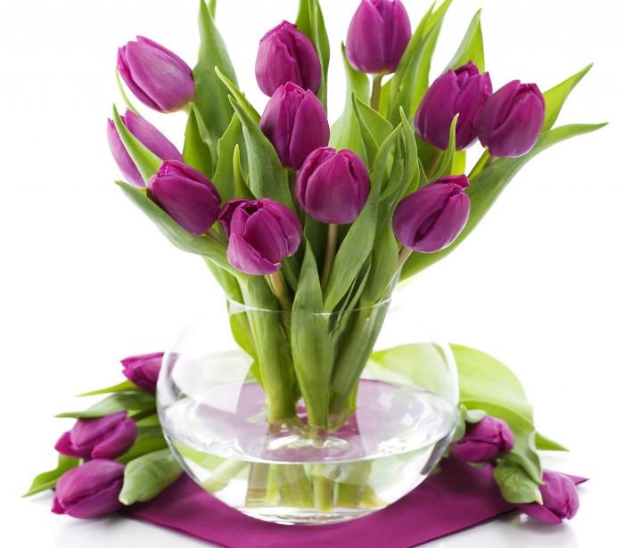 Truyền thuyết và ý nghĩa của hoa Tulip