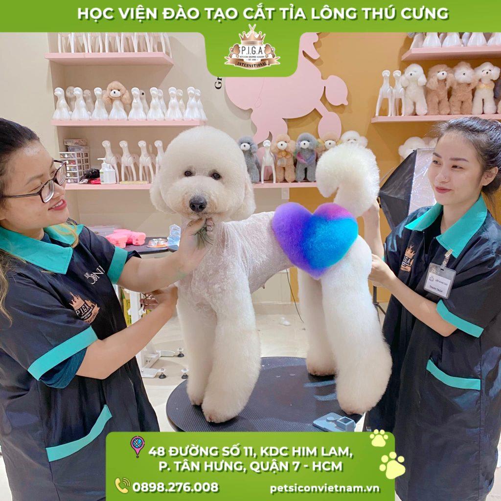 Khóa học Pet grooming chuyên nghiệp Level A tại Pet Icon