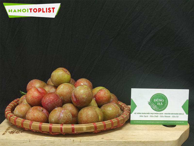 Top 5+ địa chỉ bán mận tại Hà Nội ngon, giòn, tươi roi rói