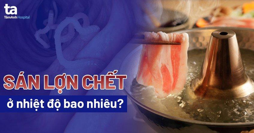 Sán lợn chết ở nhiệt độ bao nhiêu? Ăn phải thịt lợn sán có sao không?