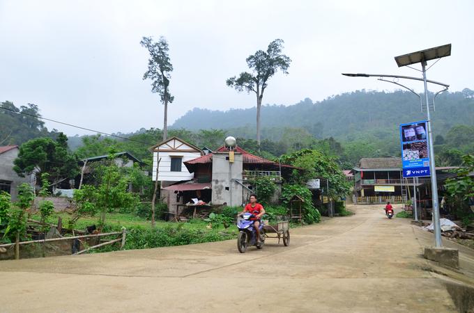 Đường vào bản Cỏi. Ảnh: Dương Đình Tường.