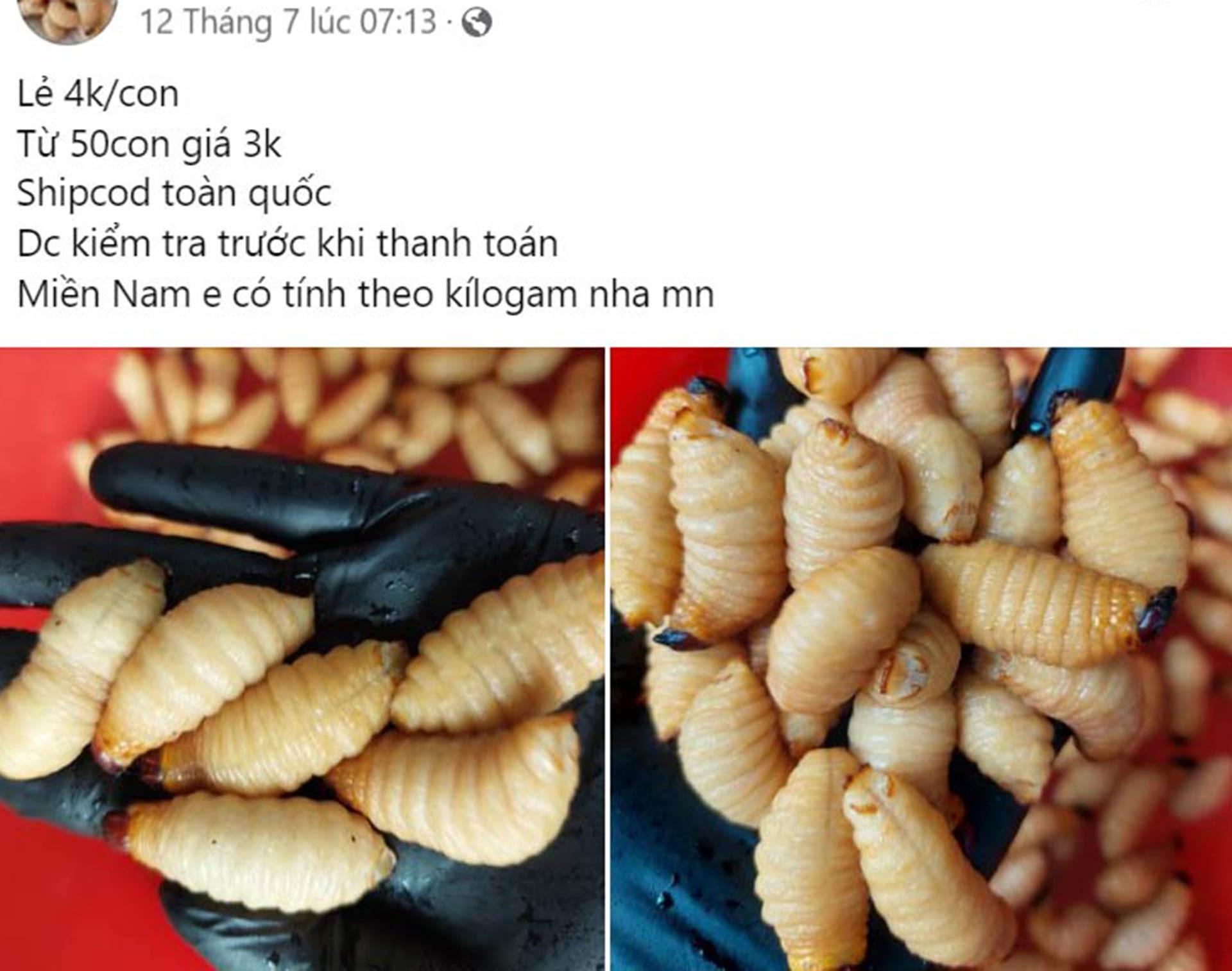 duong dua 1.jpg