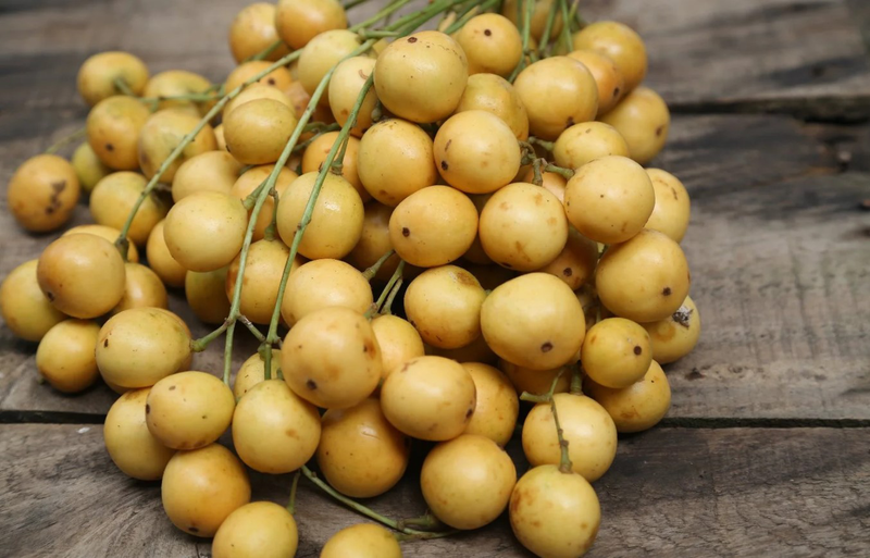 Hạt dâu da có ăn được không? Những điều bạn cần biết về quả dâu da