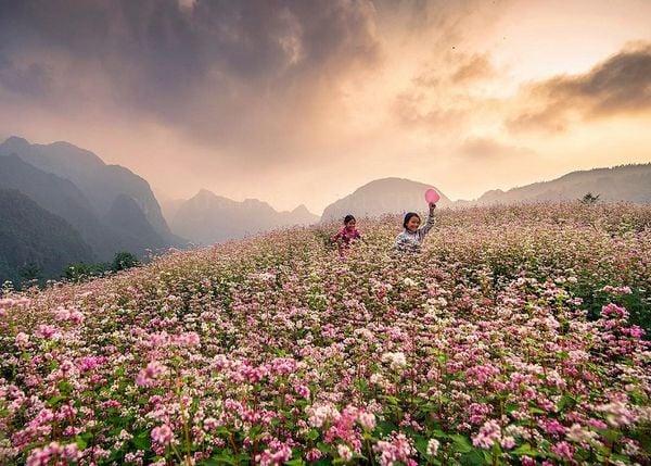 Kinh nghiệm du lịch Tây Bắc: Mùa nào? Ở đâu? Những cảnh đẹp độc đáo?