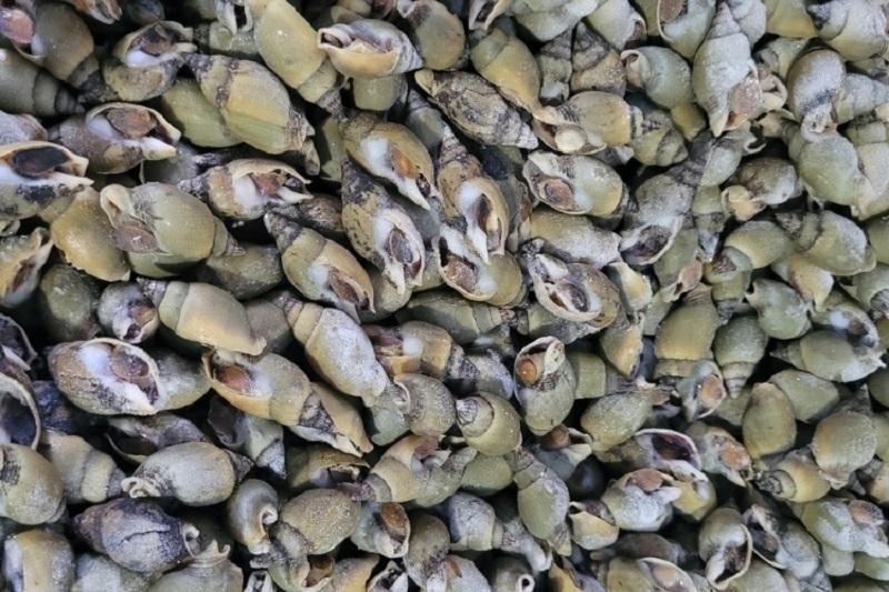 Hướng dẫn cách làm cà na rang muối siêu ngon và đơn giản