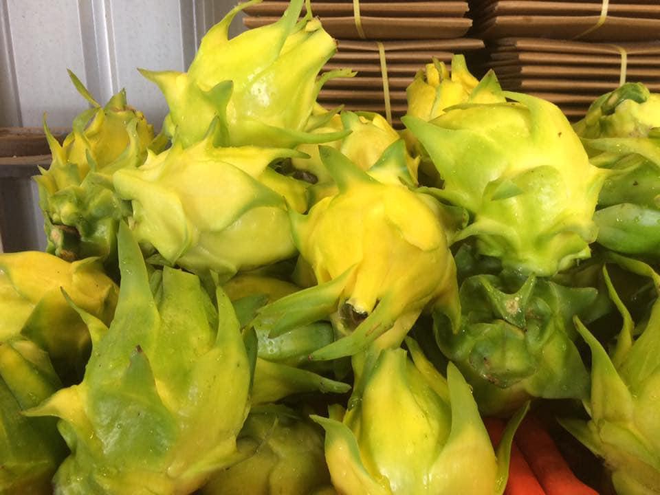 Thanh long vỏ vàng, ruột thơm mùi nhãn, nhiều người tò mò mua ăn thử