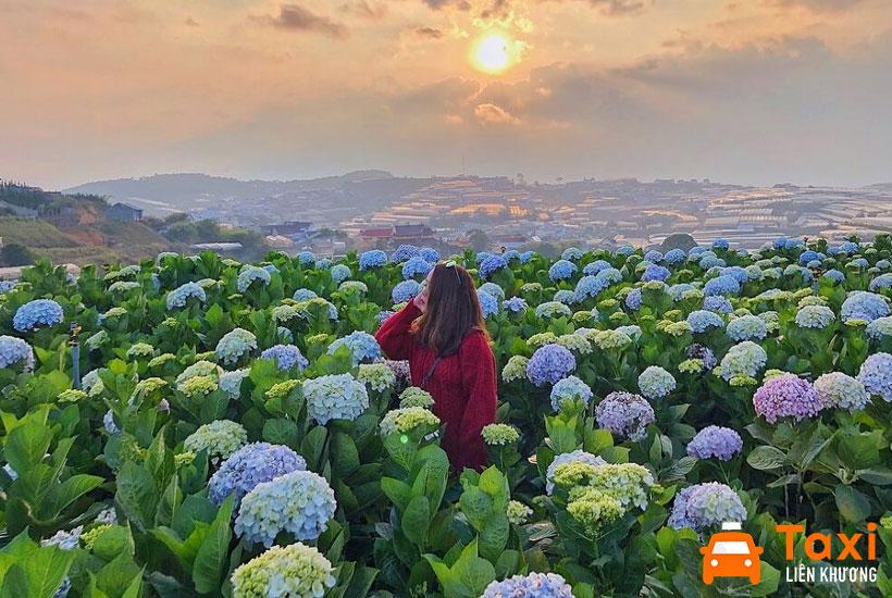 Thời điểm nào thích hợp để du lịch Đà Lạt 1 mình?