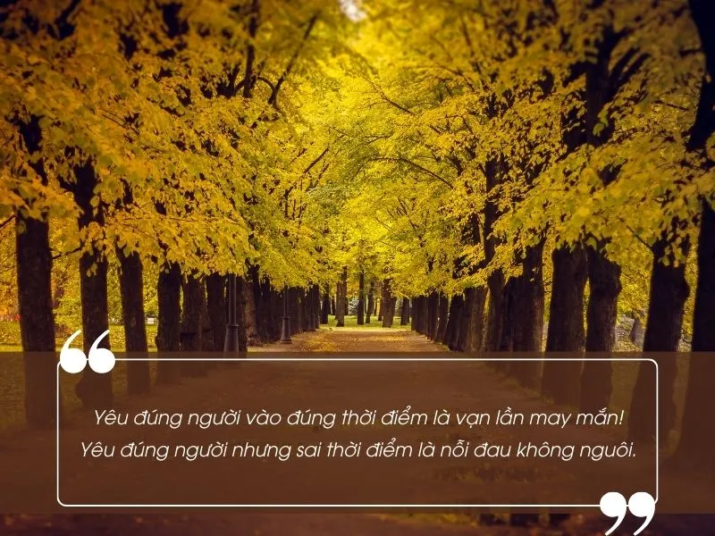 Status Valentine buồn, thơ tình Valentine buồn đến nao lòng 1
