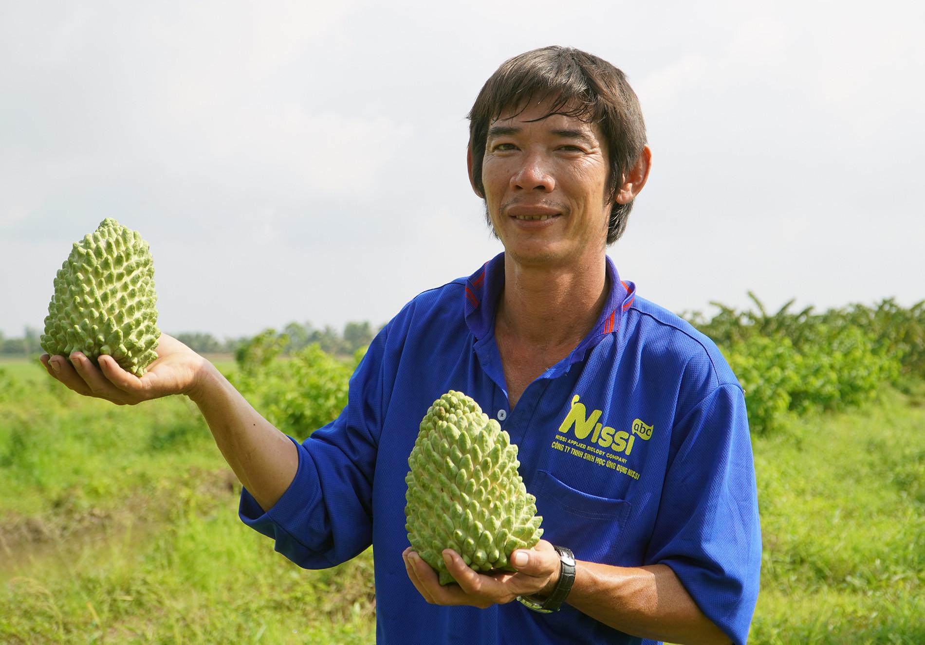 Trồng na 2.jpg