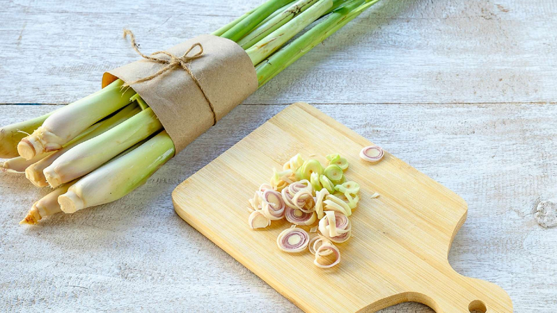 Chữa rối loạn tiền đình bằng cây sả liệu có hiệu quả?