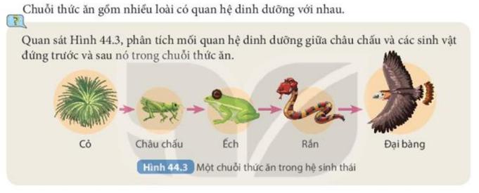 Chuyên Đề KHTN 8 Kết Nối Tri Thức Bài 44 Hệ Sinh Thái
