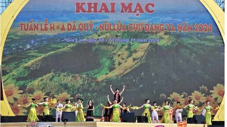 Gia Lai: Khai mạc Tuần lễ Hoa Dã quỳ - Núi lửa Chư Đang Ya 2024