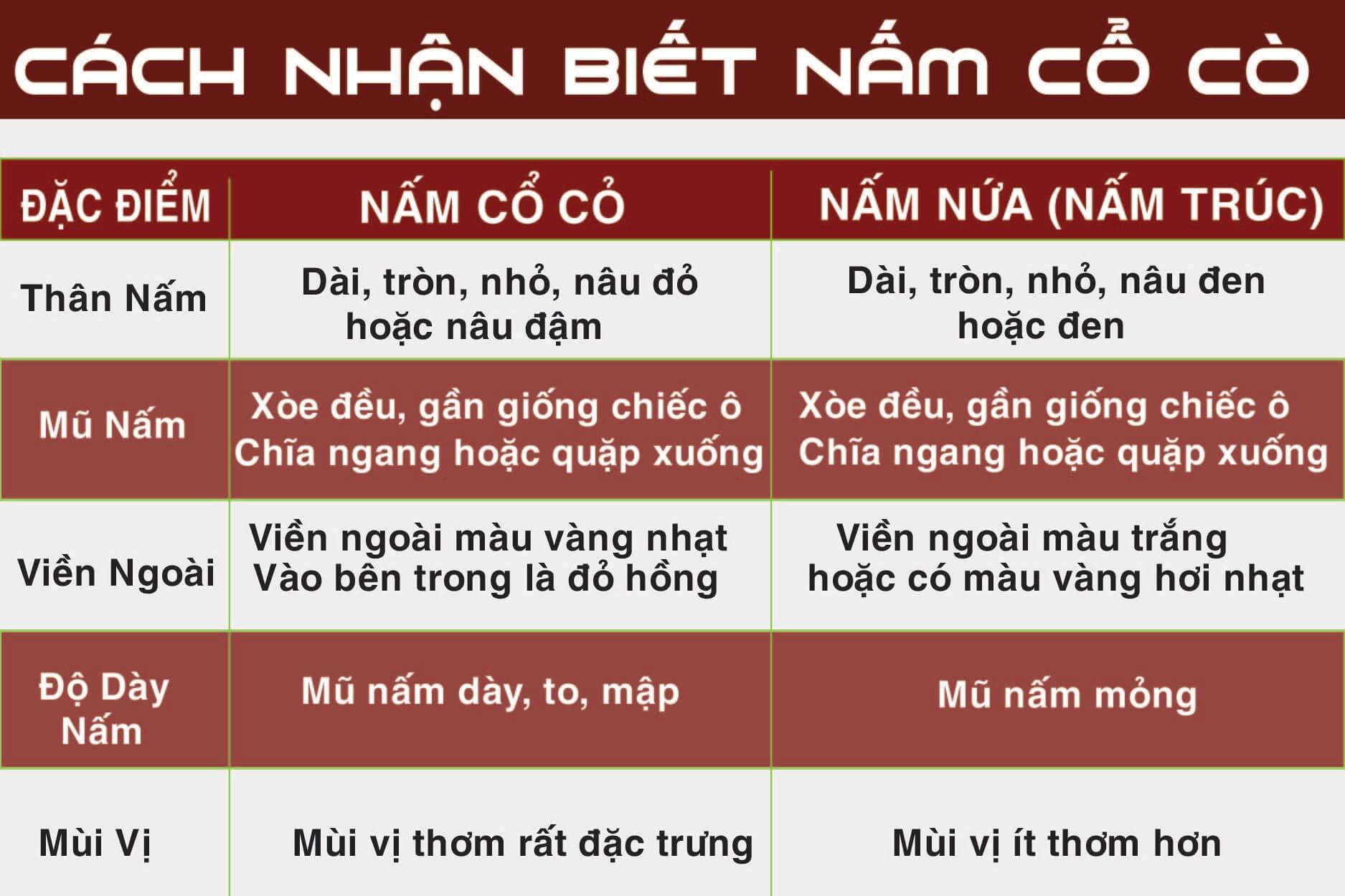 Nấm Cổ Cò Nấm Linh Chi Rừng