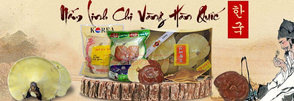 Nấm linh chi vàng