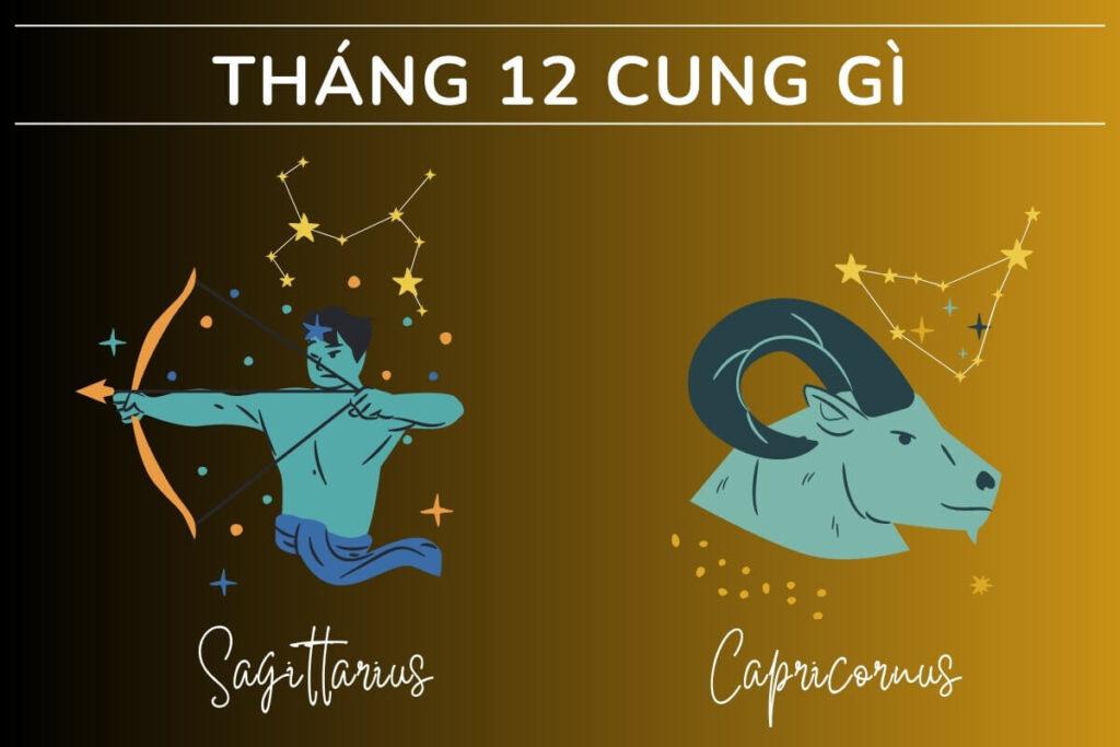 THÁNG 12 HỢP VỚI MÀU GÌ?