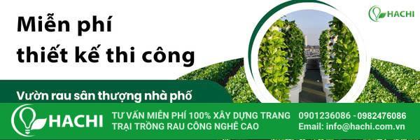 mien phi thiet ke thi cong trong rau tren san thuong hachi