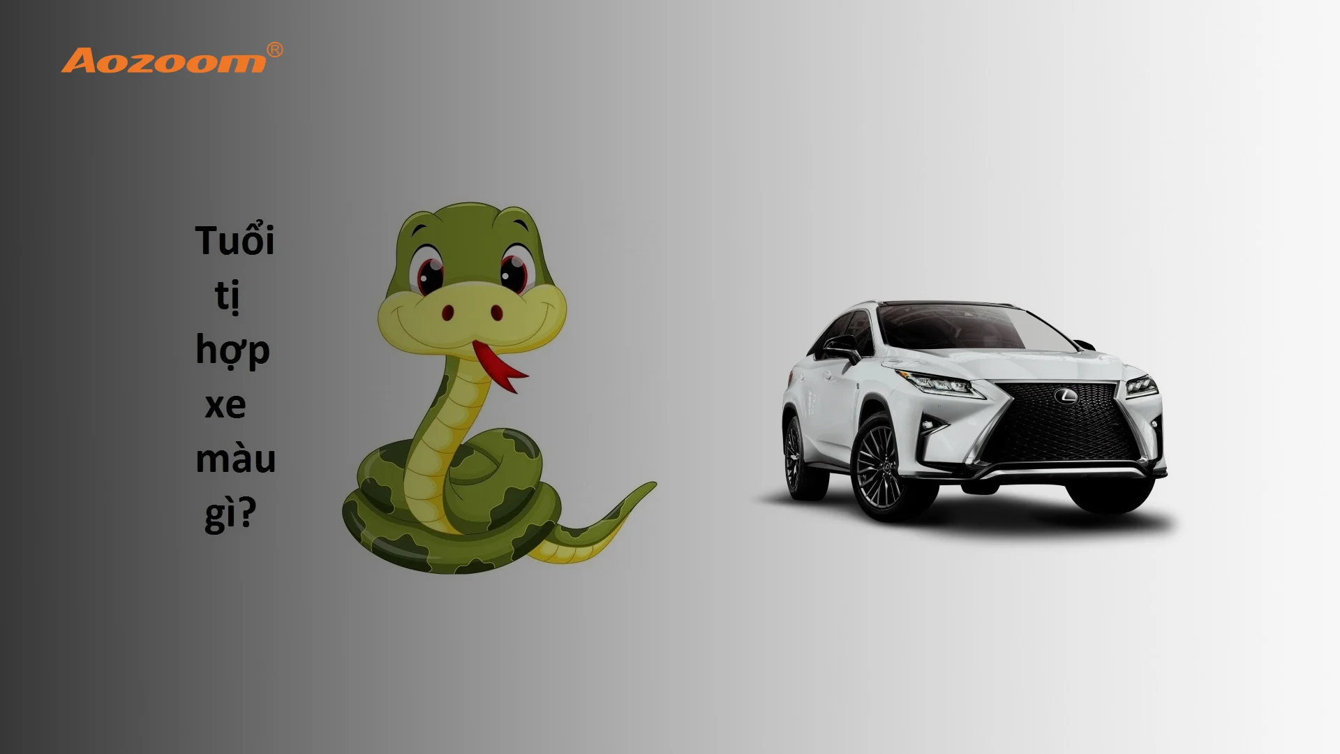 Tuổi Tỵ hợp ô tô màu gì?