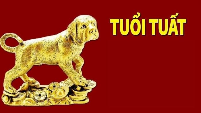 Tuổi Tuất sinh vào năm nào? Tính cách, sự nghiệp và tử vi toàn diện