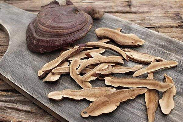 Uống nấm linh chi nhiều có tốt không? 10 tác dụng tuyệt của nấm linh chi