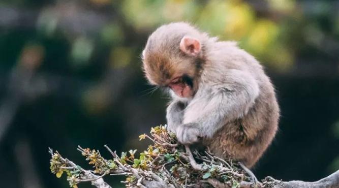 Sinh năm 1980 năm nay 2025 bao nhiêu tuổi