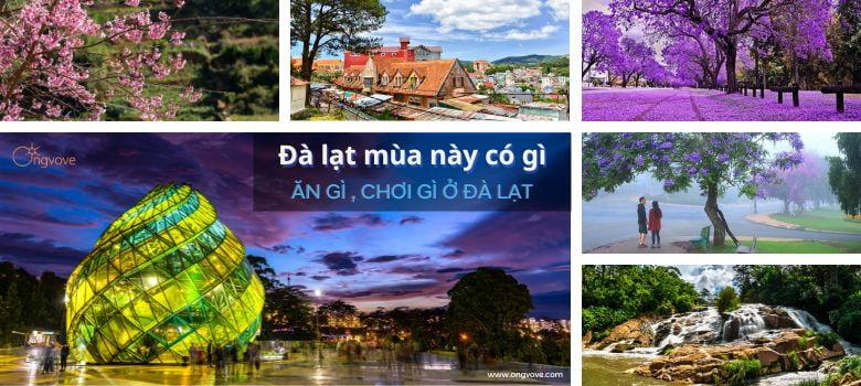 Đà lạt mùa này có gì ? Đà Lạt review ăn gì, chơi gì ?
