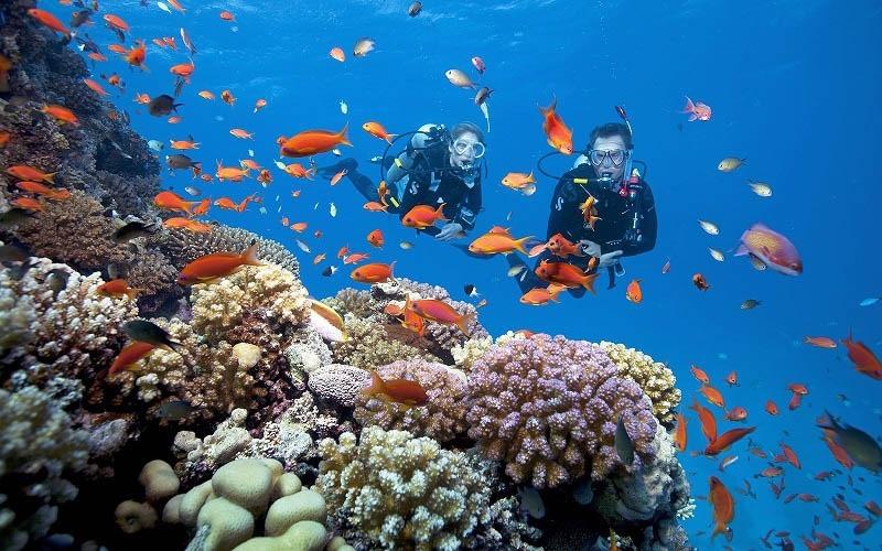 Nếu chỉ có 1 ngày ở Nha Trang thì nên đi đâu?