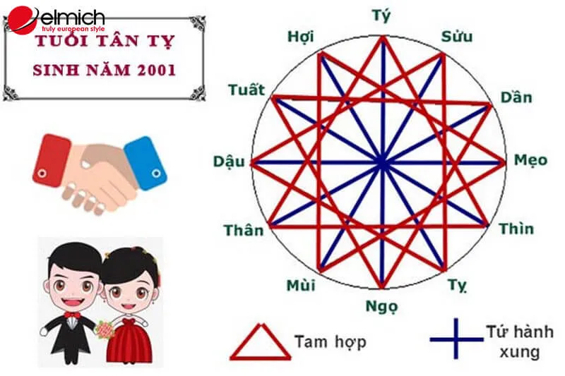 Tuổi Tân Tỵ 2001 Hợp Tuổi Nào Trong Hôn Nhân Và Làm Ăn?