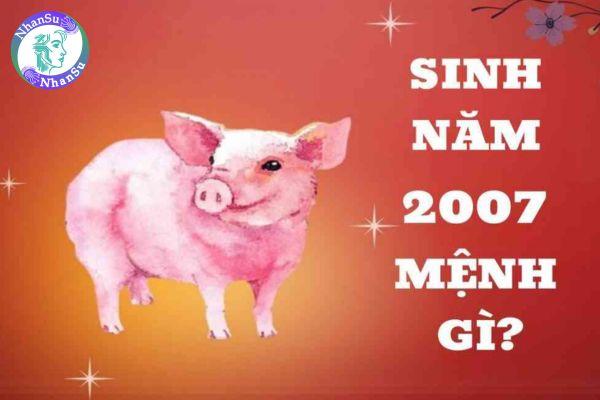 2007 bao nhiêu tuổi 2025, sao gì chiếu mệnh? 2007 mệnh gì hợp màu gì? Ngành nghề nào phù hợp với người sinh 2007?