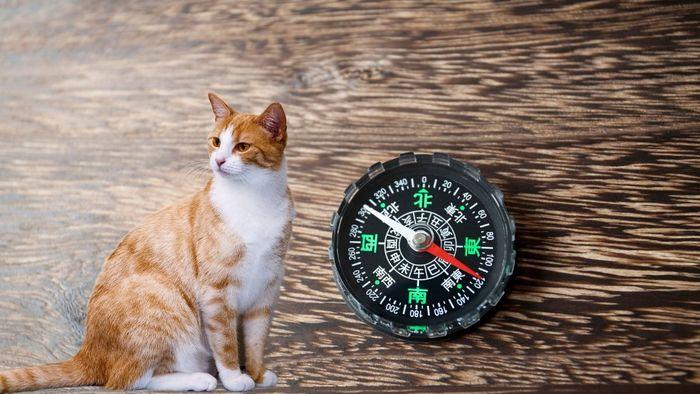 Người sinh năm 1975 thuộc mệnh gì? Màu sắc nào hợp? Họ hợp tuổi nào?