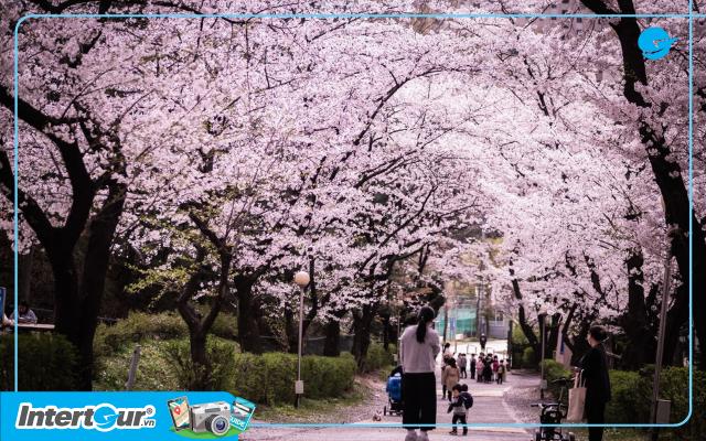 Thời tiết Seoul tháng 3