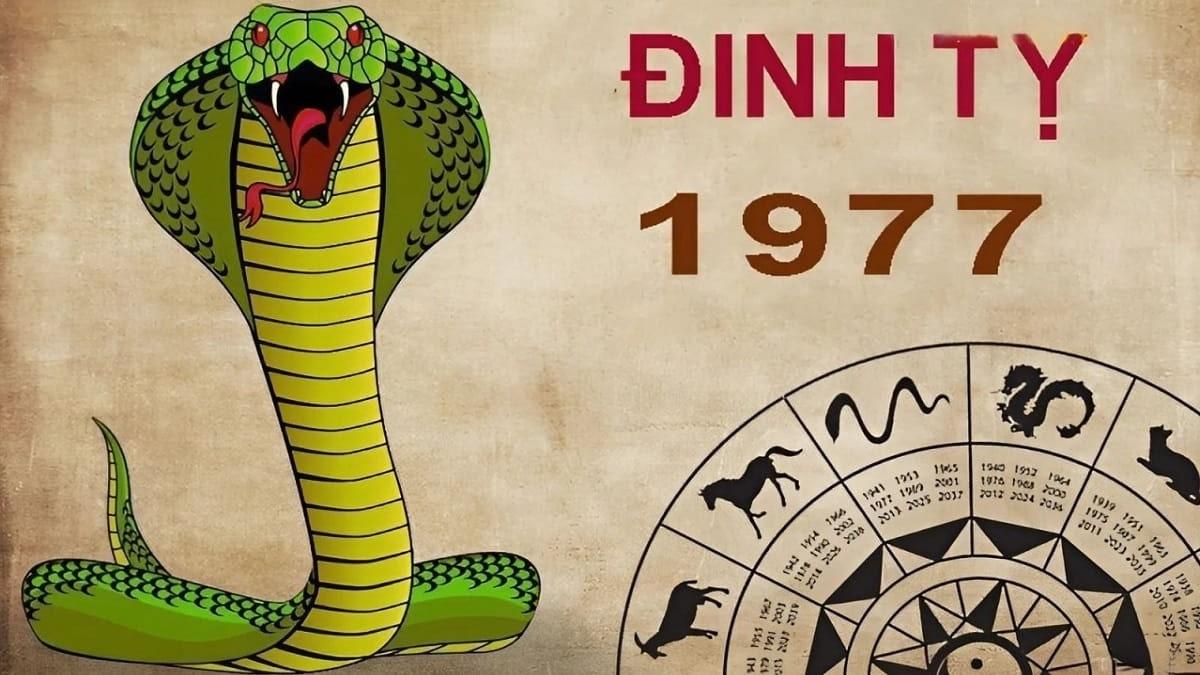 Sinh năm 1977 mệnh gì? Tìm hiểu phong thủy tuổi Đinh Tỵ