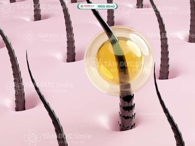 Tóc dài bao nhiêu cm sau 1 năm? 15 yếu tố ảnh hưởng tốc độ mọc tóc tự nhiên