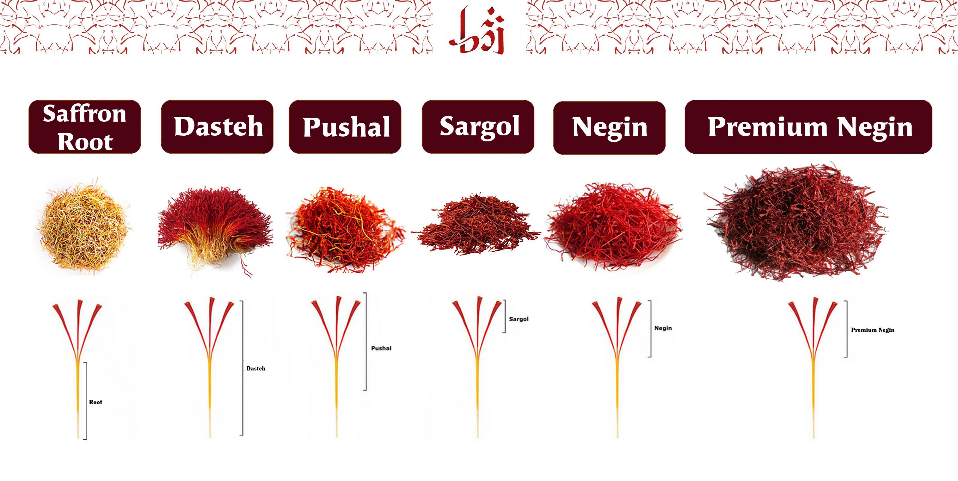 Phân biệt 6 loại Nhụy Hoa Nghệ Tây