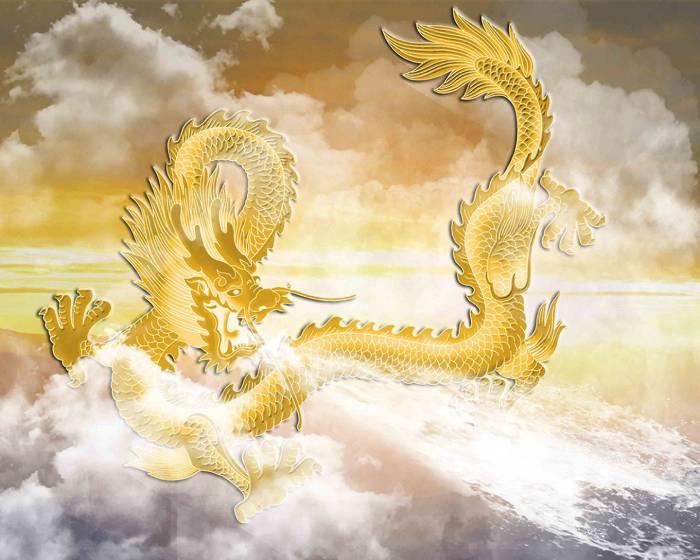 9+ Áo lớp hình con rồng, tuổi Thìn đầy mạnh mẽ và đẳng cấp