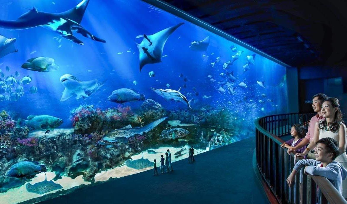 Vé thủy cung S.E.A Aquarium Sentosa Singapore