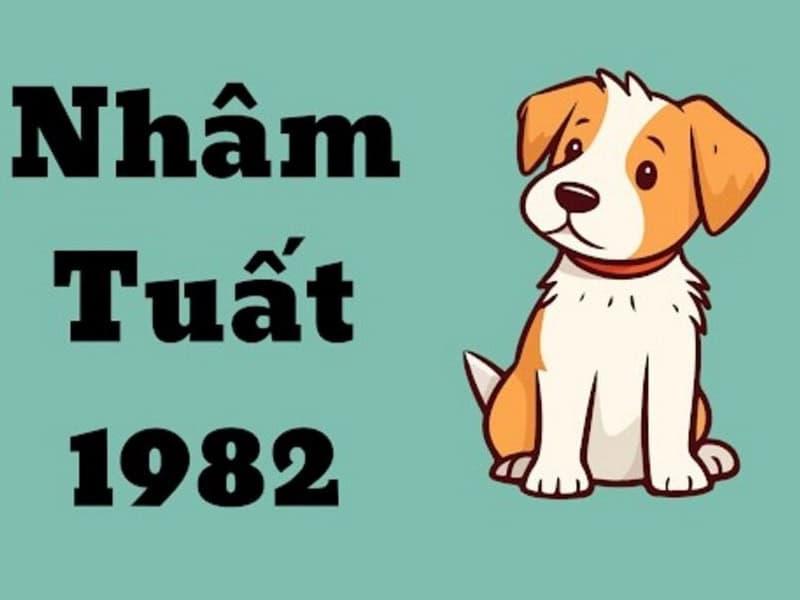 Người sinh năm 1982 mệnh gì? Giải mã bản mệnh Đại Hải Thủy và ứng dụng trong phong thủy