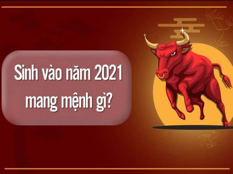 Sinh năm 2021 mệnh gì? Đặc điểm tính cách, màu sắc hợp, cách nuôi dạy hiệu quả