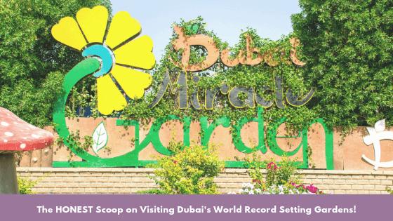 Visiting the Dubai Miracle Gardens : is it even worth it tho?