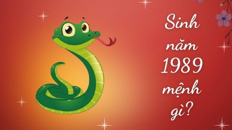 89 Là Tuổi Gì? Giải Mã Vận Mệnh Người Sinh Năm 1989 Kỷ Tỵ