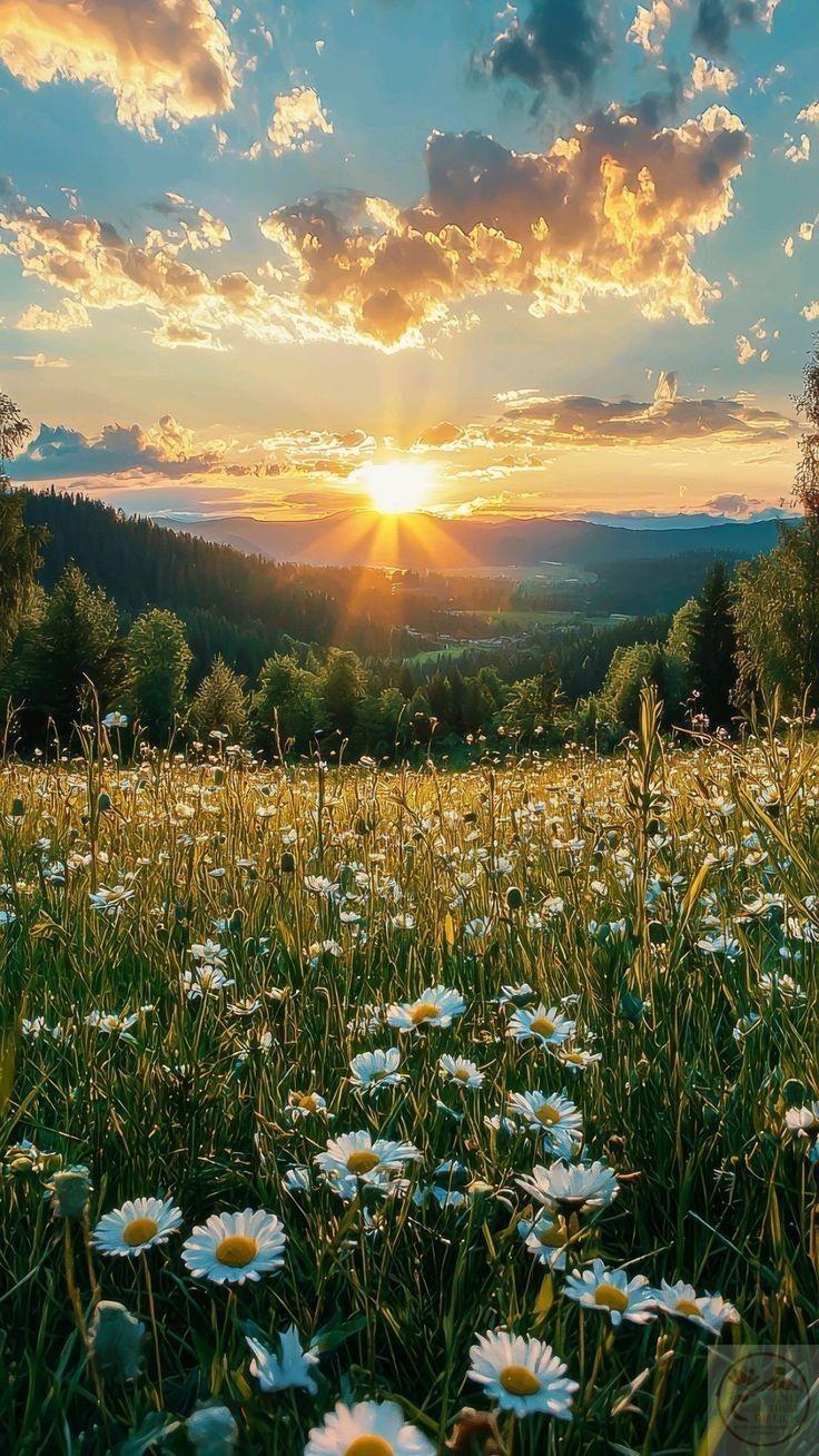 200+ Ảnh Hoàng Hôn chill buồn, cô đơn, rực rỡ siêu đẹp