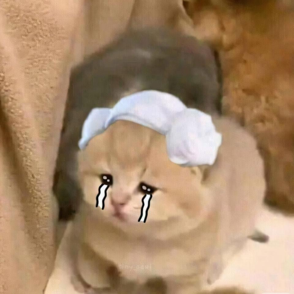 101+ Ảnh Meme Khóc ???, Meme Mèo Khóc, Mặt Cười Meme Khóc, Meme Gấu Trúc Khóc