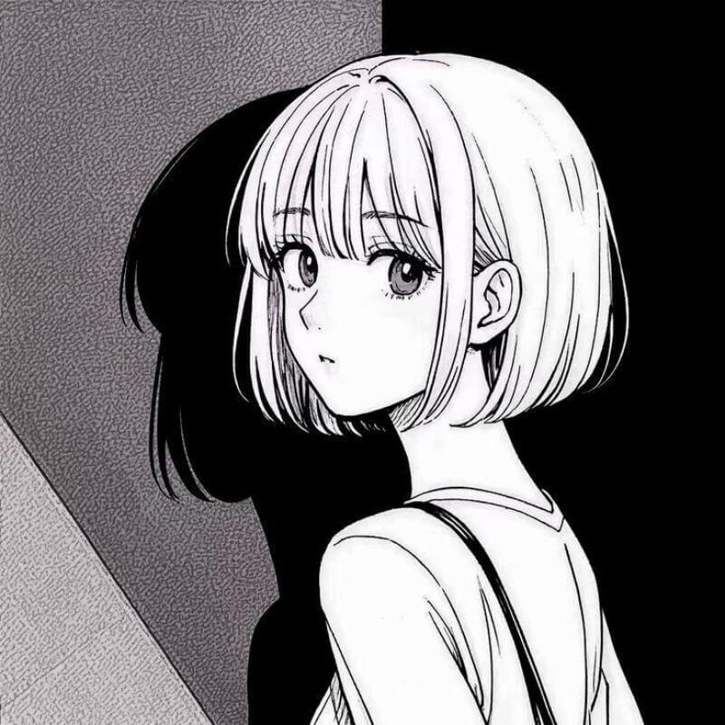 46+ avatar anime đen trắng nam nữ đẹp gây bão cộng đồng mạng