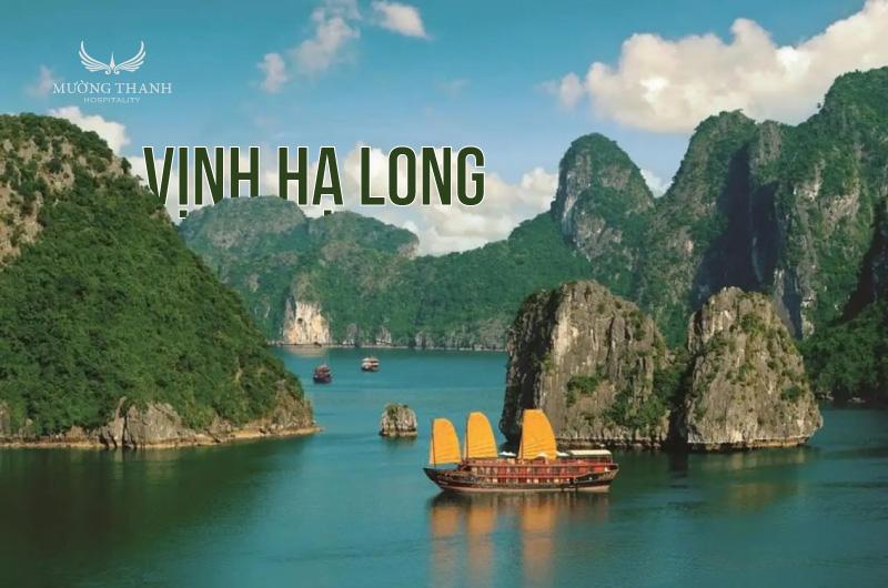 10+ địa điểm du lịch Quảng Ninh hút khách nhất hiện nay