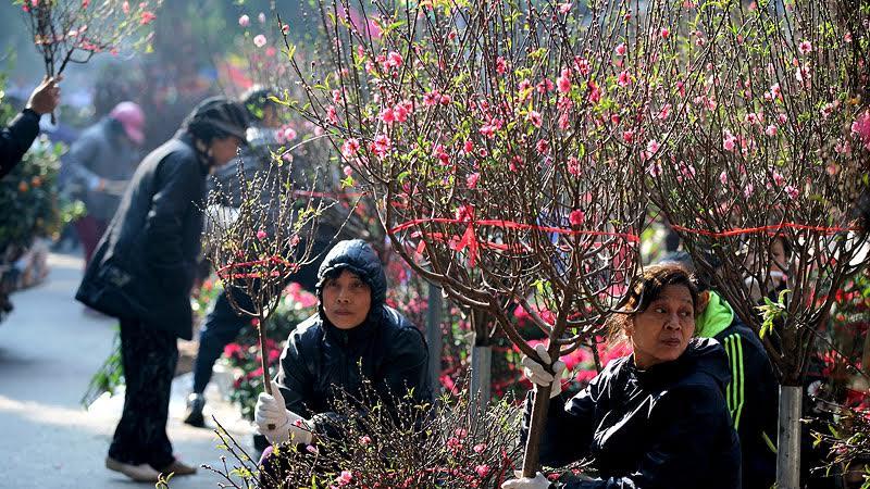 Lịch nghỉ Tết 2019 của các ngân hàng